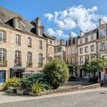 Lutter efficacement contre la mérule à Quimper : solutions et recommandations