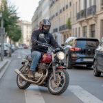 Assurance jeune motard : que faire en cas de logement contaminé par la mérule